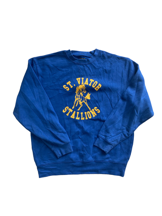 vintage blue stallions sweatshirt